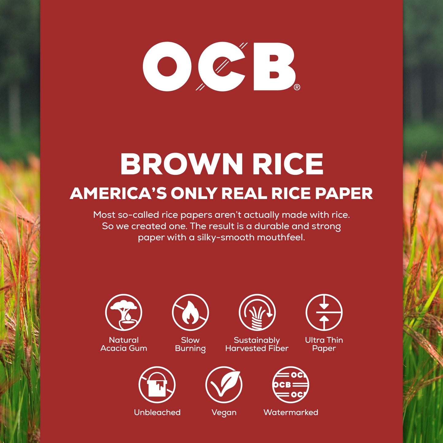 A red product information card for OCB Brown Rice paper, featuring white text and icons detailing its features and benefits, set against a blurred background of a rice field.