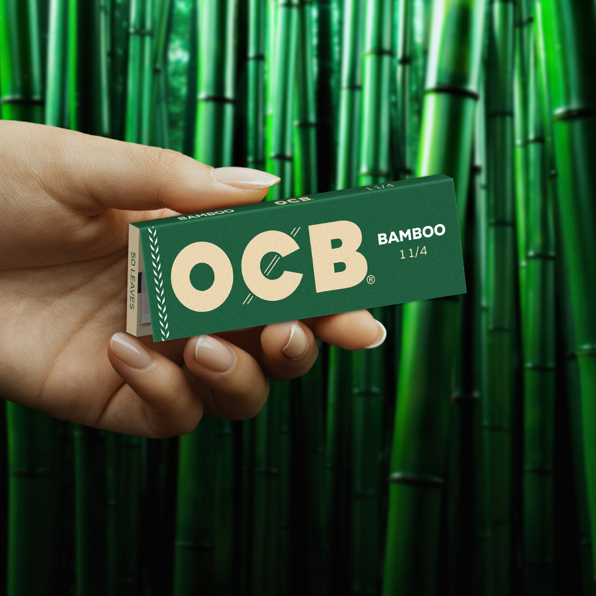 A hand holding a green OCB Bamboo 11/4 rolling paper pack in front of a background of green bamboo stalks.