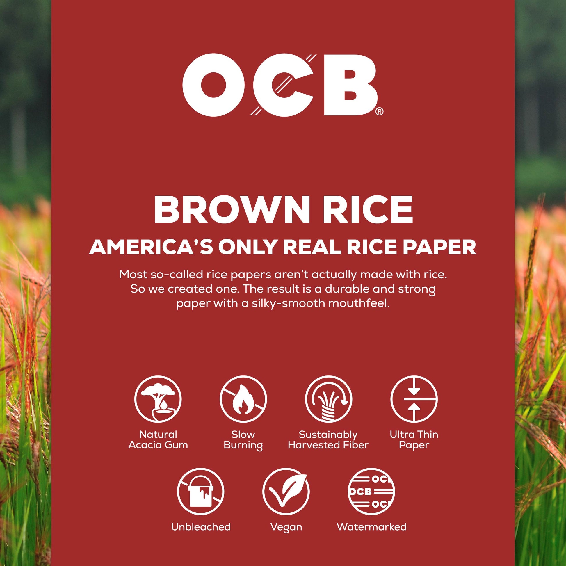 A red product information card for OCB Brown Rice paper, featuring white text and icons detailing its features and benefits, set against a blurred background of a rice field.
