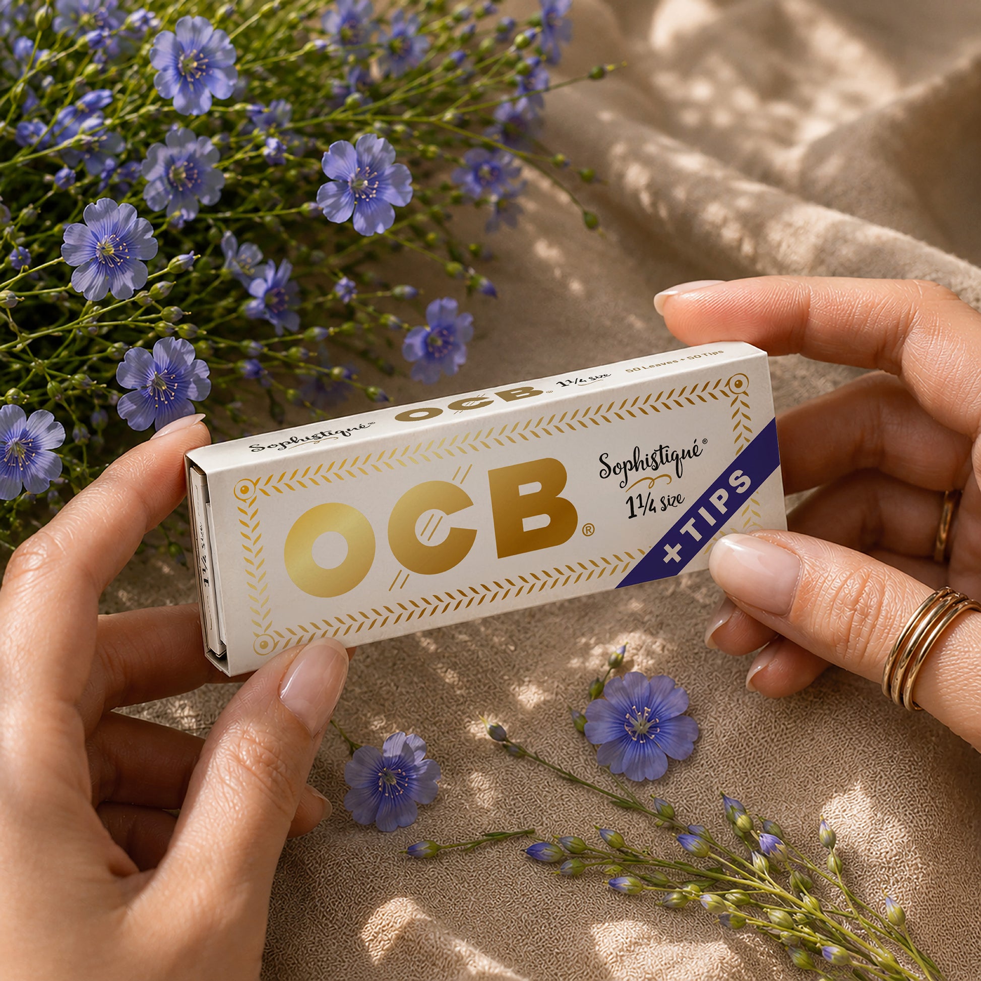 A person's hands holding a booklet of OCB Sophistique rolling papers against a draped beige fabric background decorated with small purple flax flowers.
